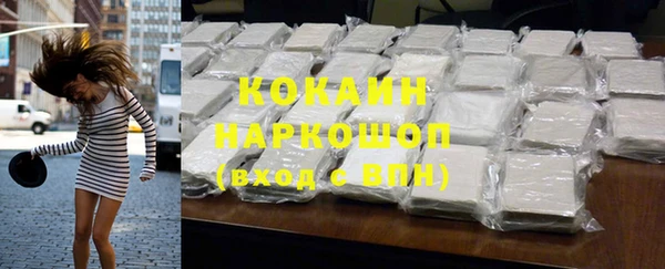 прущие грибы Карталы