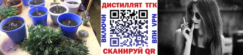 купить   Рузаевка  Дистиллят ТГК THC oil 