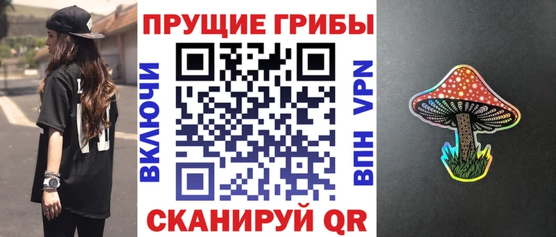 купить наркотики сайты Рузаевка Галлюциногенные грибы мухоморы