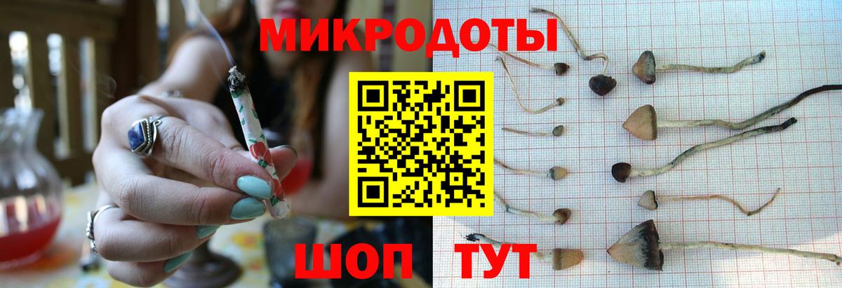 Галлюциногенные грибы MAGIC MUSHROOMS  Вход с VPN  Рузаевка 